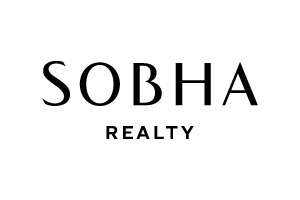 Development logo